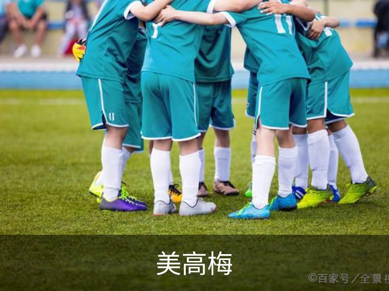 关于美高梅